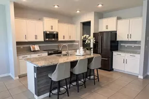 16910 Oval Rum Dr, Wimauma, FL 33598 - Photo 4