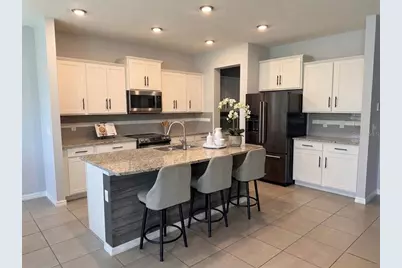 16910 Oval Rum Drive, Wimauma, FL 33598 - Photo 6