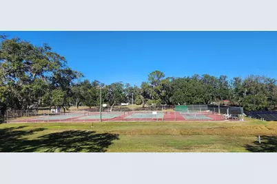 9 S Bobwhite Road, Wildwood, FL 34785 - Photo 32