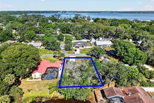 335 Vincent Dr, Mount Dora, FL 32757 - Photo 48