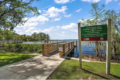 605 Sandlake Court, Mount Dora, FL 32757 - Photo 74