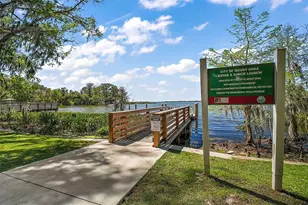 605 Sandlake Ct, Mount Dora, FL 32757 - Photo 74