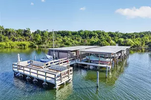 605 Sandlake Ct, Mount Dora, FL 32757 - Photo 2