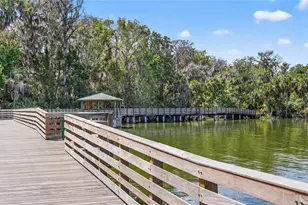 605 Sandlake Ct, Mount Dora, FL 32757 - Photo 78