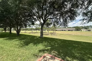 4313 Arlington Ridge Blvd, Leesburg, FL 34748 - Photo 54