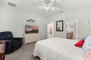 22024 Belgian Ct, Mount Dora, FL 32757 - Photo 14