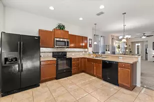 22024 Belgian Ct, Mount Dora, FL 32757 - Photo 2