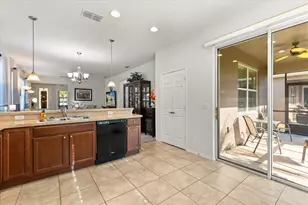 22024 Belgian Ct, Mount Dora, FL 32757 - Photo 4