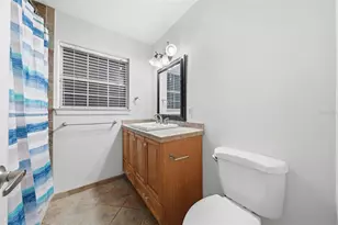 3996 Lake Eleanor Dr, Mount Dora, FL 32757 - Photo 24