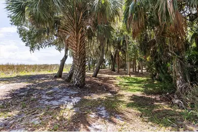 Tbd Deer Island Road, Tavares, FL 32778 - Photo 14