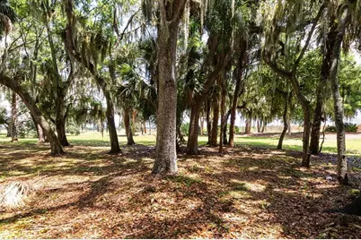 Tbd Deer Island Road, Tavares, FL 32778 - Photo 10