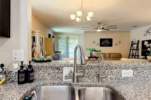 3631 Black Dog Ct, Tavares, FL 32778 - Photo 14