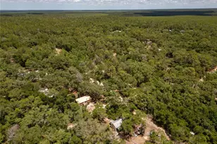 19448 SE 92nd Pl, Ocklawaha, FL 32179 - Photo 24