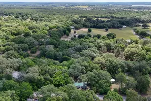 17285 SE 248th Terrace, Umatilla, FL 32784 - Photo 20