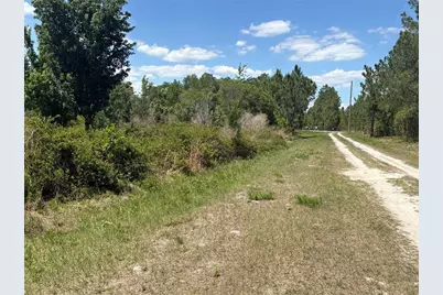 San Juan Ave #LOT 29, Polk City, FL 33868 - Photo 6