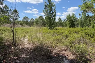 San Juan Ave, Polk City, FL 33868 - Photo 1