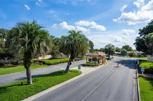 1616 W Schwartz Blvd, The Villages, FL 32159 - Photo 38