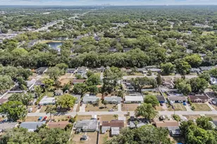 127 Connie Ave, Tampa, FL 33613 - Photo 46