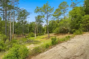 124 Guava Terrace, Ocklawaha, FL 32179 - Photo 30