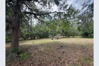24138 Panther Road, Astor, FL 32102 - Photo 8