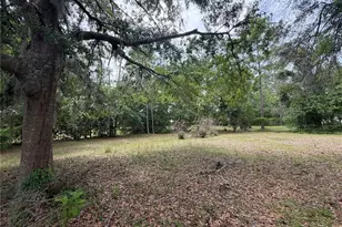 24138 Panther Rd, Astor, FL 32102 - Photo 8