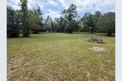 24138 Panther Road, Astor, FL 32102 - Photo 10