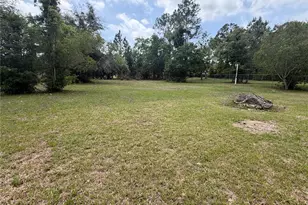 24138 Panther Rd, Astor, FL 32102 - Photo 10