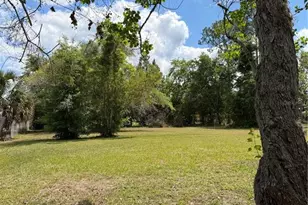 24138 Panther Rd, Astor, FL 32102 - Photo 24