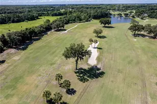 33 Bobcat Trail, Wildwood, FL 34785 - Photo 28