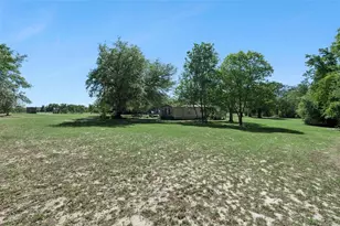 3531 Empire Church Rd, Groveland, FL 34736 - Photo 28