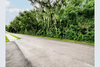 Tbd King Avenue, Zellwood, FL 32798 - Photo 6