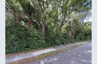 Tbd King Avenue, Zellwood, FL 32798 - Photo 1