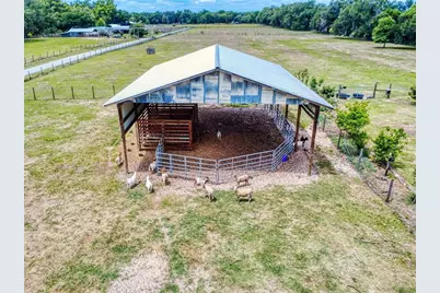 2713 Cr 776, Webster, FL 33597 - Photo 62