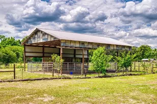 2713 Cr 776, Webster, FL 33597 - Photo 66