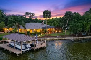 29650 Squirrel Point Rd, Tavares, FL 32778 - Photo 6
