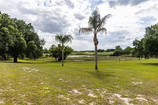 25101 Turkey Lake Rd, Howey in the Hills, FL 34737 - Photo 52