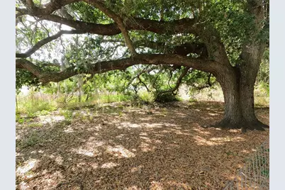0 Earth Star Lane, Groveland, FL 34736 - Photo 46