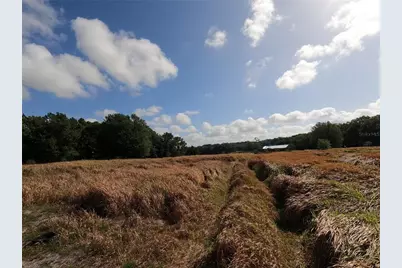 0 Earth Star Lane, Groveland, FL 34736 - Photo 34