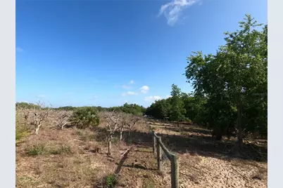 0 Earth Star Lane, Groveland, FL 34736 - Photo 10