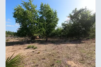 0 Earth Star Lane, Groveland, FL 34736 - Photo 6