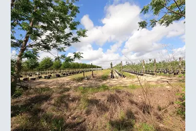 0 Earth Star Lane, Groveland, FL 34736 - Photo 48