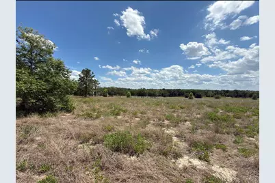 6115 Ranch Lake Road, Groveland, FL 34736 - Photo 24