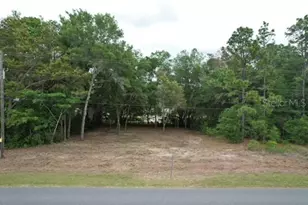 Tbd SW Beach Blvd, Dunnellon, FL 34431 - Photo 1