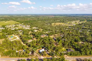 19150 Co Rd 450, Umatilla, FL 32784 - Photo 24