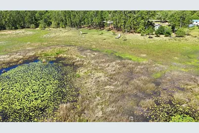 Tbd Holly Branch Road, Eustis, FL 32736 - Photo 8