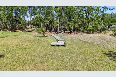 Tbd Holly Branch Road, Eustis, FL 32736 - Photo 6