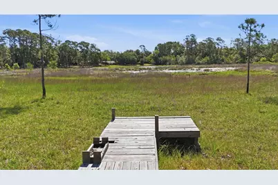 Tbd Holly Branch Road, Eustis, FL 32736 - Photo 1