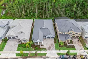 14353 Crest Palm Ave, Windermere, FL 34786 - Photo 60