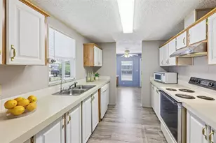 550 St Johns Rd, Tavares, FL 32778 - Photo 4