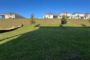 1715 Cadence St, Minneola, FL 34715 - Photo 28